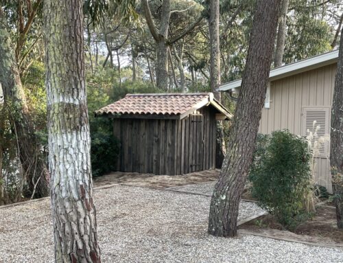 Cabane de jardin en bois